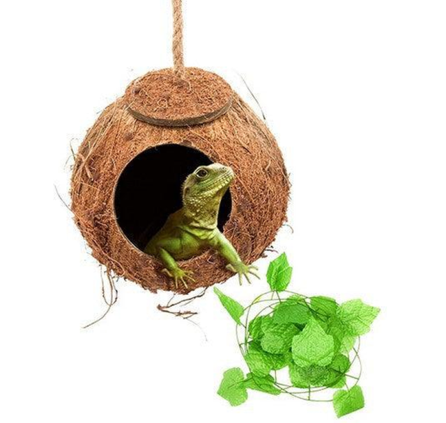 Reptile Adventure Set: Coconut Nest and Vine Climbing Kit